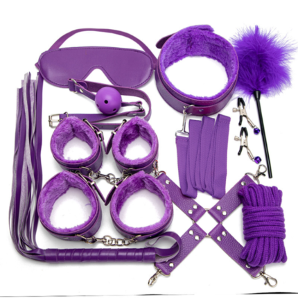 Purple BDSM Kit in Pakistan